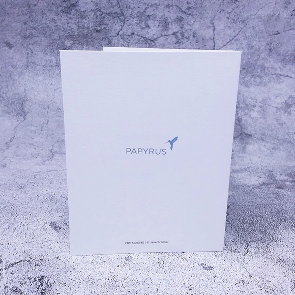 🎄 CHRISTMAS SALE! 🎄 10PC Papyrus Peace Christmas Cards with Envelopes, Seals - Picture 7 of 11